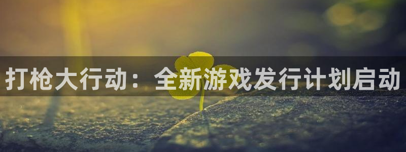 pp电子官网平台会黑款吗：打枪大行动：全新游戏发行计划启动