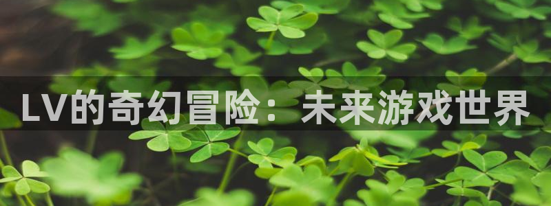 pp电子官网平台代理条件如何：LV的奇幻冒险：未来游戏世界