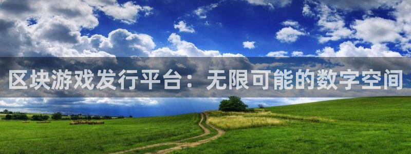 pp电子烟照片：区块游戏发行平台：无限可能的数字空间