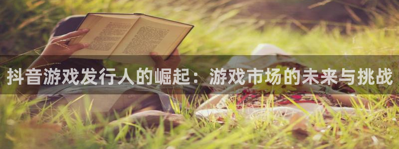 pp电子lvnces是什么档次