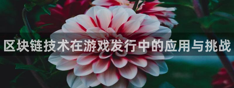 pp电子官网注册方法有哪些呢：区块链技术在游戏发行中的应用与挑战
