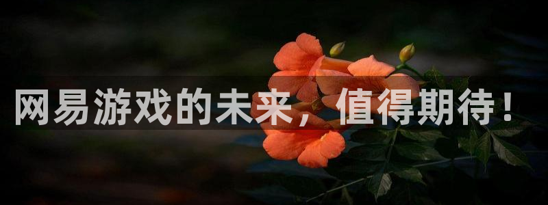 陕西pp电子子文化创意是什么