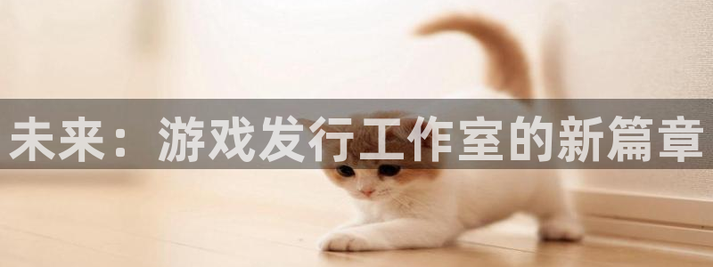 pp电子实业投资(东莞)有限公司：未来：游戏发行工作室的新篇章