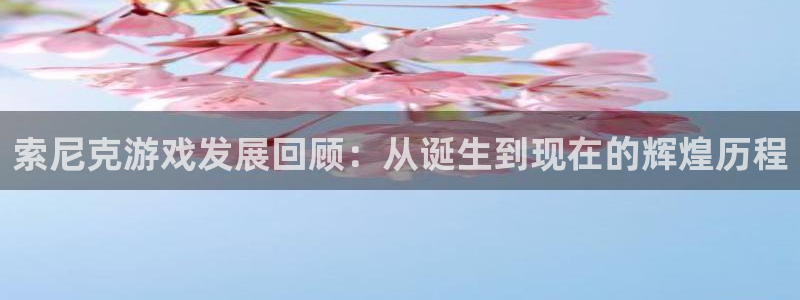 四川pp电子科技有限公司：索尼克游戏发展回顾：从诞生到现在的辉煌历程