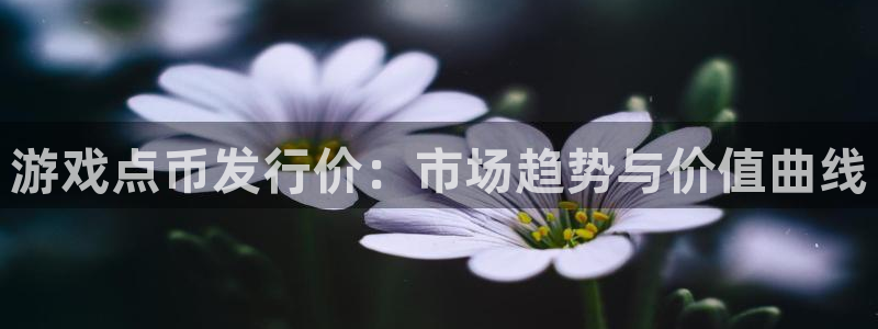 陕西pp电子子文化创意有限公司是做什么的：游戏点币发行价：市场趋势与价值曲线