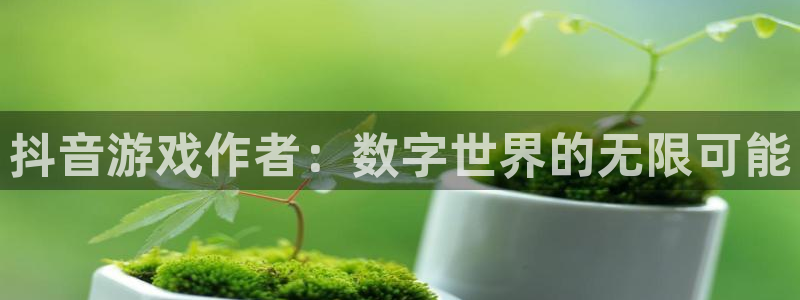 pp电子子的所有小说：抖音游戏作者：数字世界的无限可能