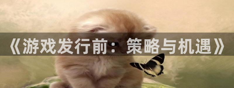 pp电子科技