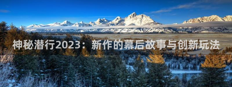 pp电子子的图片