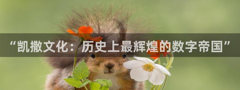 pp电子官网注册方法视频：“凯撒文化：历史上最辉煌的数字帝国”