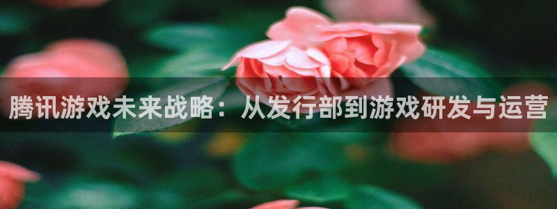广东pp电子电子商务有限公司