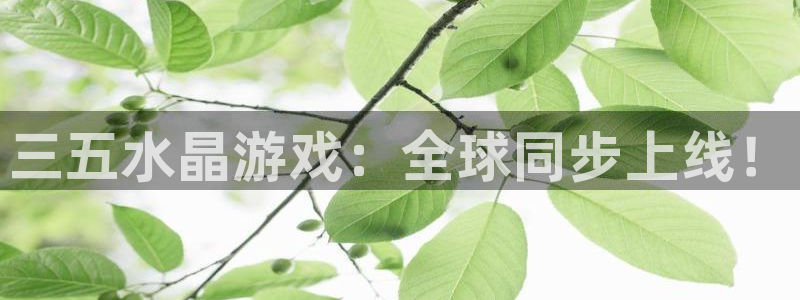 pp电子官网挂机项目怎么样啊