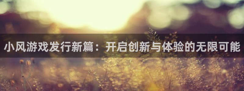 pp电子官网代理注册：小风游戏发行新篇：开启创新与体验的无限可能