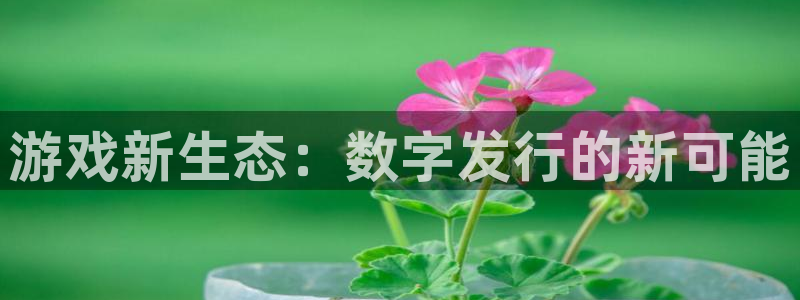 pp电子子 到底怎么样：游戏新生态：数字发行的新可能