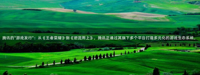 pp电子品牌设计