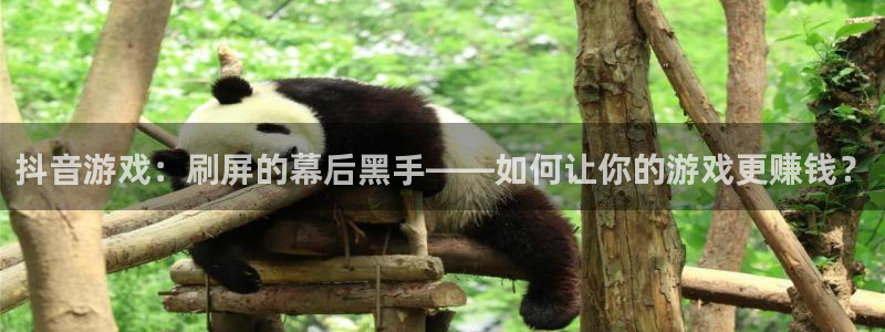 江苏pp电子人力资源有限公司怎么样：抖音游戏：刷屏的幕后黑手——如何让你的游戏更赚钱？