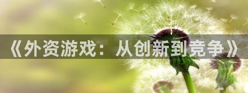 pp电子是哪个国家的衣服品牌：《外资游戏：从创新到竞争》