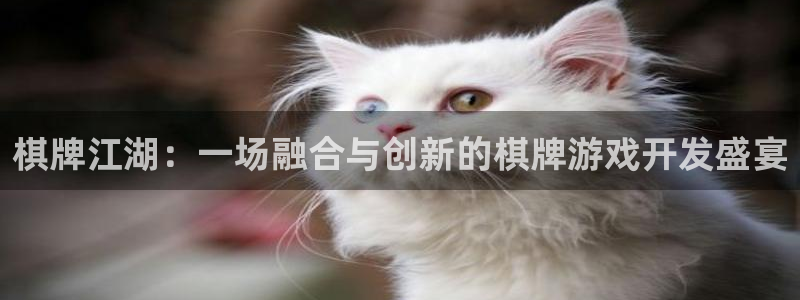 pp电子官网客服：棋牌江湖：一场融合与创新的棋牌游戏开发盛宴