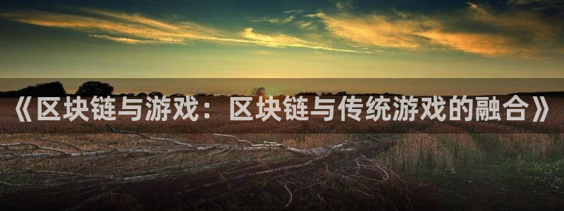 法国pp电子：《区块链与游戏：区块链与传统游戏的融合》