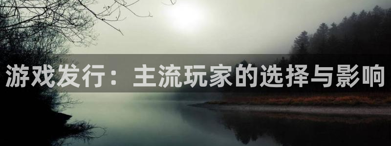 pp电子电商怎么样：游戏发行：主流玩家的选择与影响